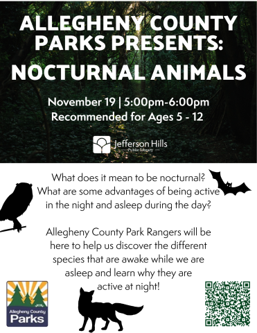 Learn about nocturnal animals with Allegheny County