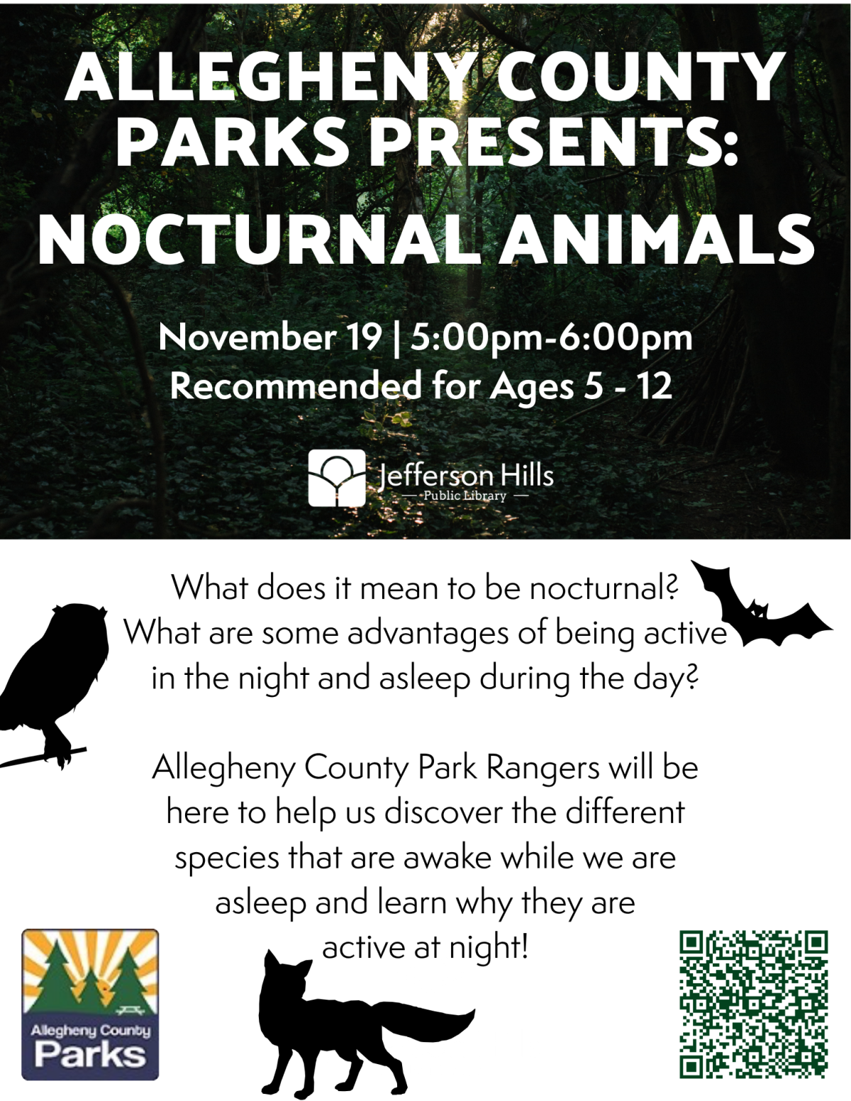 Learn about nocturnal animals with Allegheny County